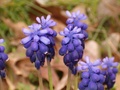 hpim0365.jpg