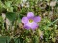 hpim0574.jpg