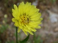 hpim0644.jpg