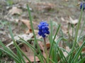 hpim0822.jpg