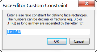 FaceEditor Custom Constraint Dialog