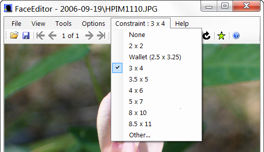 FaceEditor Constraint Menu Item