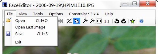 FaceEditor File Menu Item