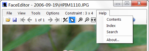 FaceEditor Help Menu Item