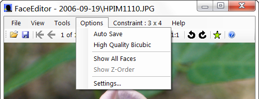 FaceEditor Options Menu Item