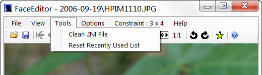 FaceEditor Tools Menu Item