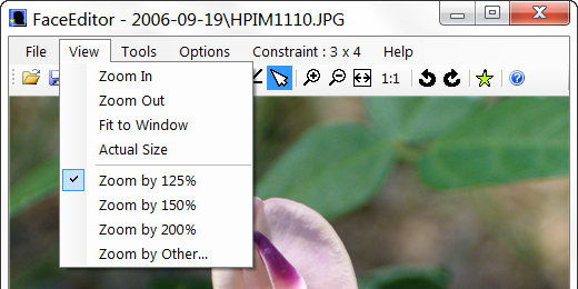 FaceEditor View Menu Item